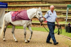 dedication-sa-2012-30-of-469