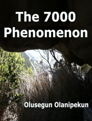 The 7000 Phenomenon eBook